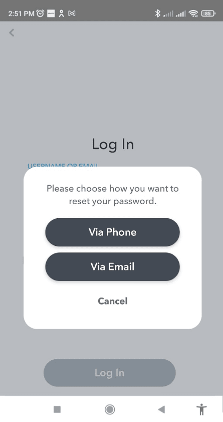 Resetting Password Via Email option