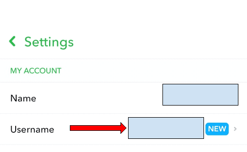 Snapchat UserName changing text box