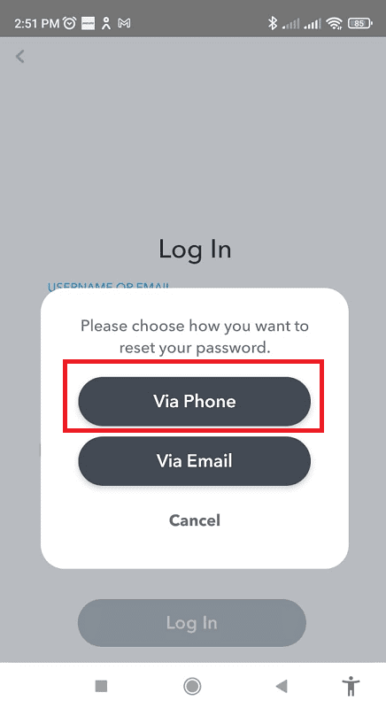 Reset password via phone sms