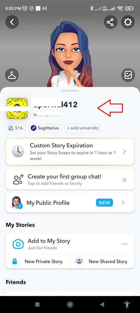 snapchat user profile